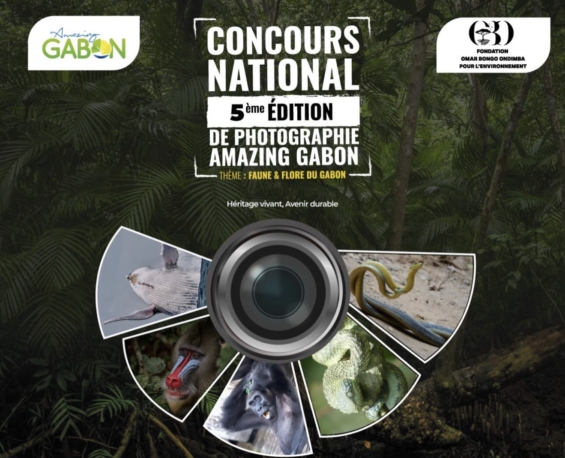 CONCOURS NATIONAL DE PHOTOGRAPHIE AMAZING GABON